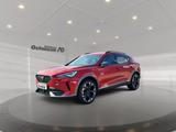 Cupra Formentor 1.5 TSI ACC AUT Fernlichtass. Kam. LED - rote Cupra Formentor
