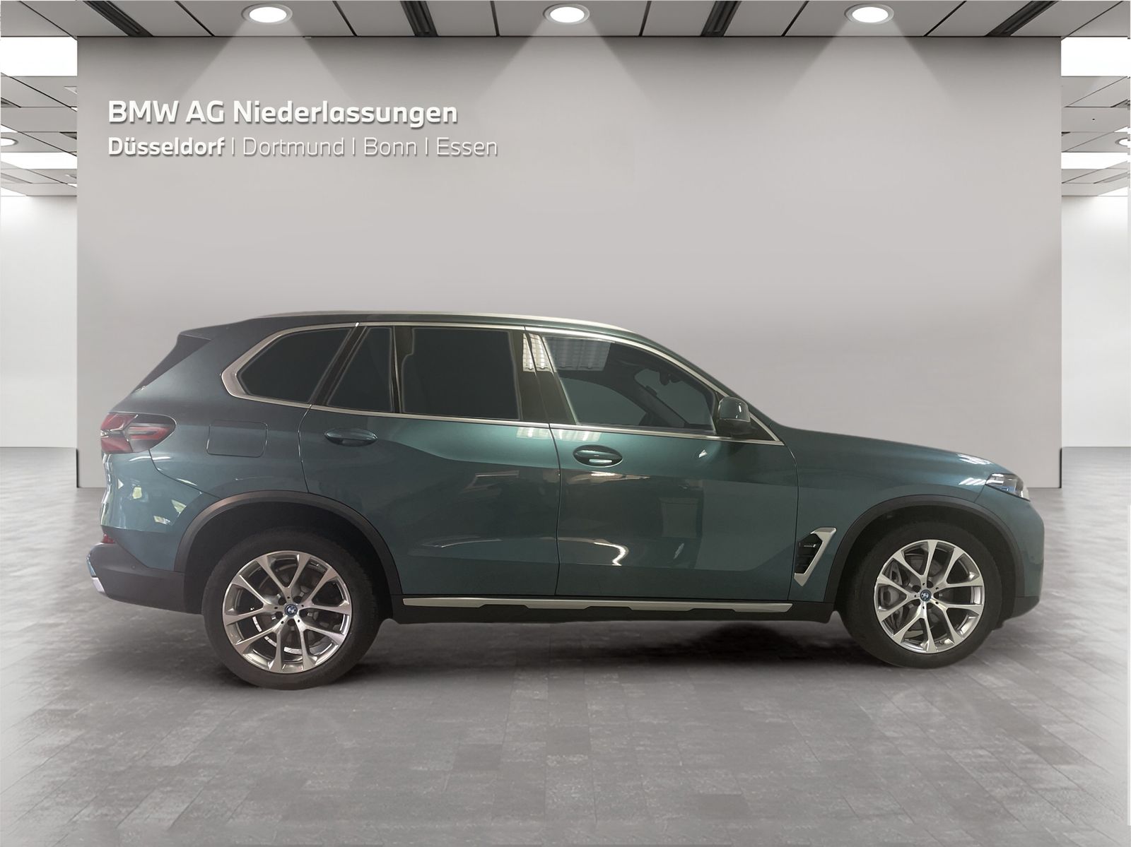 BMW X5 xDrive50e Driv.Assist.Prof Harman K Kamera foto 5