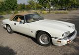 Jaguar XJS - Jaguar XJS mit Benzin-Antrieb: Cabrio