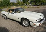 Jaguar XJS - Jaguar XJS