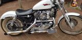 Harley-Davidson 1200 Sportster, XLH 1200 C - Offers matching your search criteria