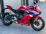 Honda CBR 650 R *Neuwertig*nur 65 Km*Sofort lieferbar* - HONDA CBR650R