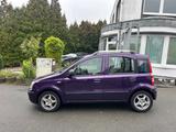 Fiat Panda 1.2 8V Dynamic - Fiat Panda Gebrauchtwagen in Duisburg