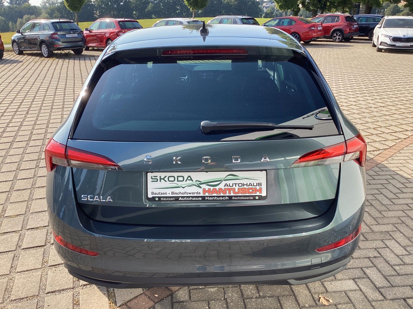 Fahrzeugabbildung SKODA Scala Drive 125 1.0TSI 85 KW