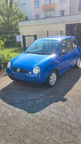 Volkswagen Lupo 1.0 College 97000 KM Tüv auf Wunsch Neu - Volkswagen Lupo: College