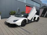 Lamborghini Aventador LP 720-4 Roadster 50° Anniversario - : mit Navigationssystem, 720