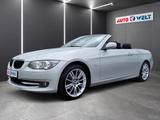 BMW 318i Cabrio Bi-Xenon Voll-Leder Navi Memory uvm! - BMW 318 in Halle