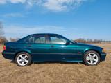BMW E36 316i Oldtimer 2 Hand guter orig. Zustand
