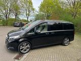 Mercedes-Benz V 250 d Avantgard. 360grad. Standheizung - Mercedes-Benz V 250 in Augsburg