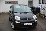 Fiat Panda 1.2 Pop - Fiat Panda: Pop
