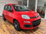 Fiat Panda 1.2 Urban Easy KLIMA.ALU.DAB.PDC.TÜV.NEU - gebrauchte Fiat Panda aus dem Jahr 2019