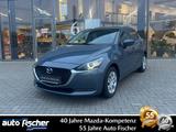 Mazda 2 1.5 (90PS) Schalter KIZOKU TOU-P2 Rückfahrk. C