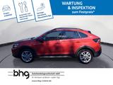 Volkswagen Taigo Life 1.0 TSI DSG *APP-CONNECT*NAVI*ACC* - Volkswagen Taigo Jahreswagen