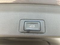 Cupra Terramar - Vorschau Bild 29