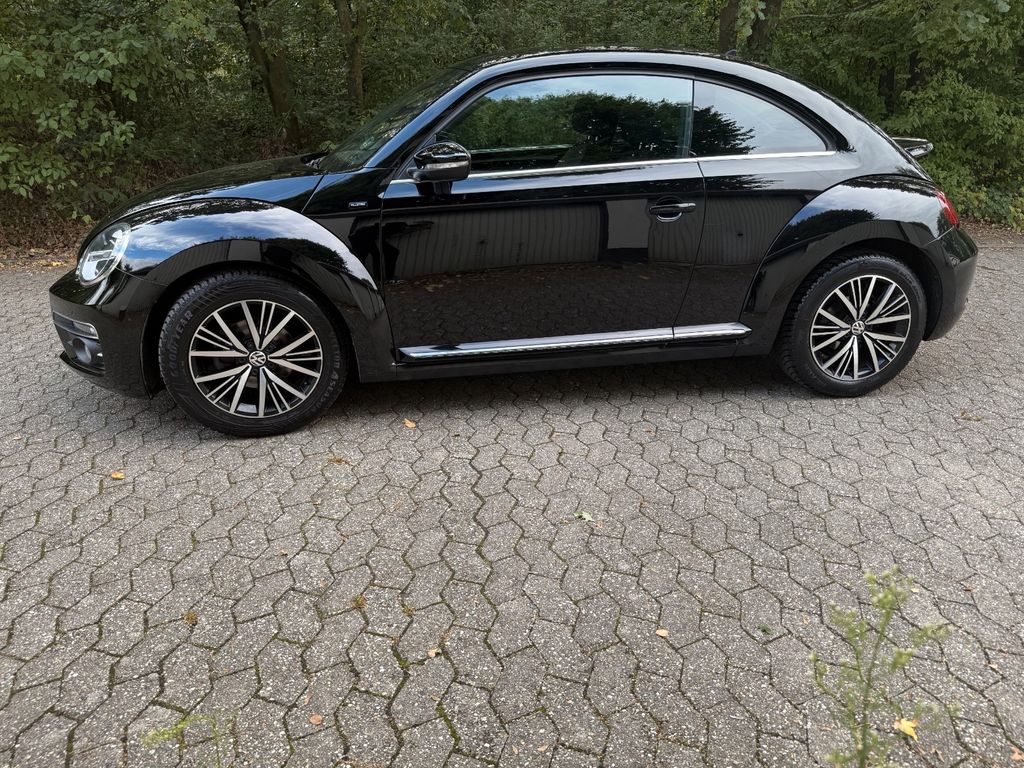 Image of Volkswagen Beetle