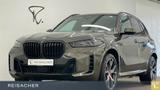 BMW X5 xDrive30d Sportpaket Autom. Parksystem DAB  