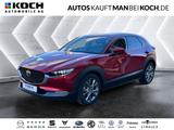 Mazda CX-30 2.0 SKYACTIV-G M Hybrid Selection 2WD NAVI - Mazda mit Benzin-Antrieb: Standheizung