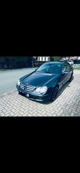 Mercedes-Benz CLK 220 CDI ELEGANCE Elegance - Mercedes-Benz CLK 220: Coupé