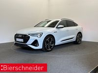 Audi e-tron - Vorschau Bild 1