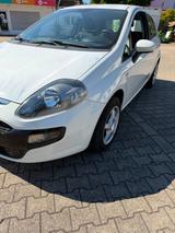 Fiat Punto 1.2 8V POP Tüv Neu - Fiat Punto: 1.2