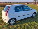 Fiat Punto 1.2  - Fiat Punto Gebrauchtwagen in München
