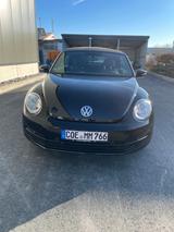 Volkswagen Beetle 1.2 TSI BMT Cabriolet - - VW Beetle von privat