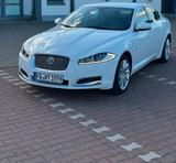 Jaguar XF zu Verkaufen Gepflegt Verhandlun... - gebrauchte Jaguar XF aus dem Jahr 2014