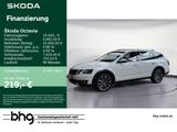 Skoda Octavia Combi Scout *AHK*NAVI*KAMERA* - Skoda: Combi Scout