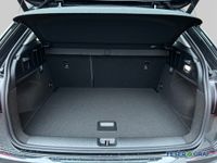 Audi Q2 - Vorschau Bild 6