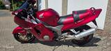 Honda CBR 1100 XX - HONDA CBR 1100 XX