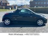 Ford Streetka 1.6 Eleganc Roadster*92 Tkm Leder Klima - Ford Streetka: Cabrio