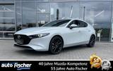 Mazda 3 2.5 (140PS) Schalter. Exclusive-Line Sitzheizu - Mazda 3 Neuwagen in Frankfurt (Main)