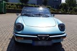 Alfa Romeo Spider 115 2.0 - gebrauchte Alfa Romeo Spider aus dem Jahr 1984