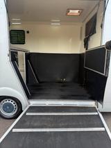 Renault Master 2018 Pferdewagen Horsetruck Transporter - Renault: Transporter