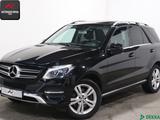 Mercedes-Benz GLE 400 4M SPURPAKET,MEMORY,METALLIC,SCHECKHEFT - Mercedes-Benz GLE 400 Gebrauchtwagen