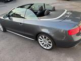Audi A5 Cabriolet 3.0 TDI Quattro/TÜV ./Insp/Garantie - Audi A5: Cabrio, 3.0