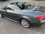 Audi A5 Cabriolet 3.0 TDI Quattro/TÜV Neu. - Audi A5 mit Diesel-Antrieb: Cabrio