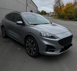 Ford Kuga ST Line X 2.5 FHEV AWD Panor AHK Gar 2029