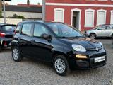 Fiat Panda 1.2 Easy Klima 2.Hand TOP Scheckheft Euro6 - Fiat Panda: 2t