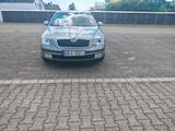 Skoda Octavia 1.9 TDI PD DPF DSG Elegance Elegance - Skoda Octavia mit Diesel-Antrieb: Limousine, 1.9