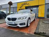 BMW 230 i Cabrio EU6d-T M Sport Leder LED Navi Keyle - BMW 230: 230d