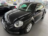 Volkswagen Beetle 1.6 TDI CUP - Volkswagen Beetle: TDI