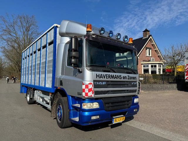 DAF CF 65.220 Handgeschakeld Euro 3