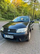 Fiat Punto *WENIG KILOMETER* - Fiat Punto in Essen