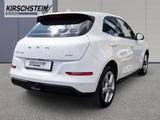 ORA Funky Cat 300 Pro Moonlight White *Aktionspreis* - ORA Funky Cat 300-Pro