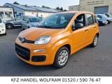 Fiat Panda 1.2 Klima, Allwetter, NUR 1 HALTER EURO 6