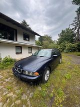 BMW 530d E39 Touring - BMW 530: Kombi, 530d E39