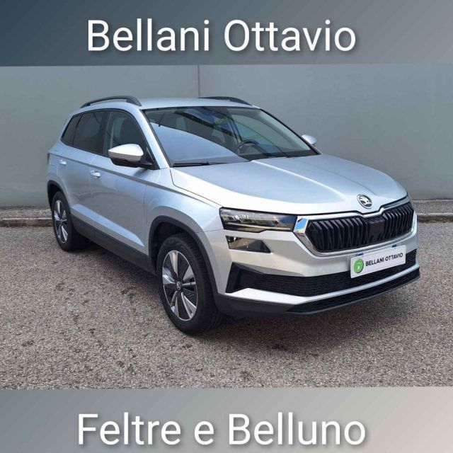 Image of Skoda Karoq