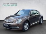 Volkswagen Beetle 1.6TDI DSG Design Klimaaut. Einparkh. SHZ - Volkswagen Beetle: TDI