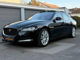 Jaguar XF Portfolio Pano Head-Up Voll Scheckheft - Jaguar XF Portfolio mit Diesel-Antrieb